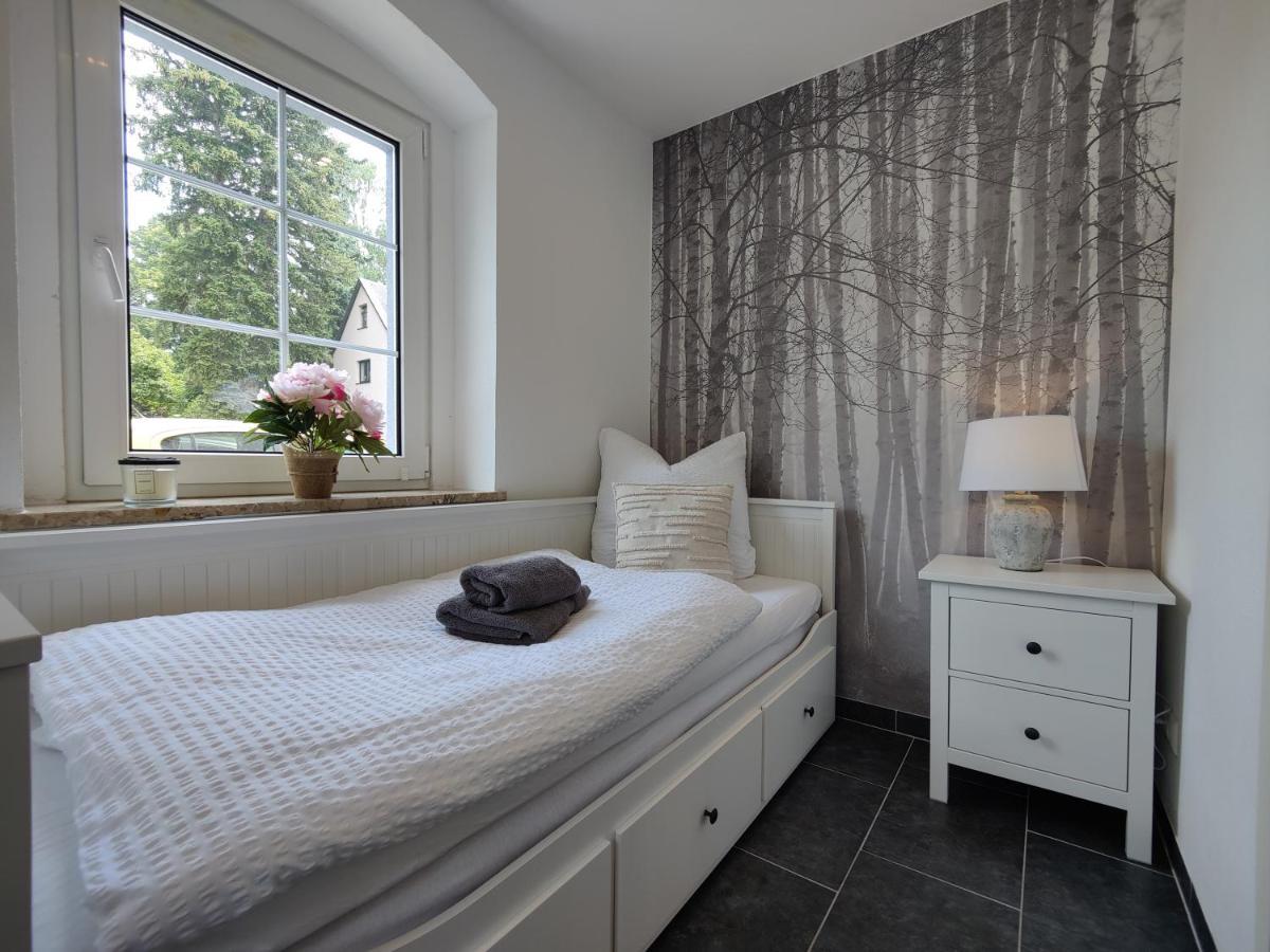 Ferienhaus Villa Adelsberg Mit Dachterrasse In Zentraler Lage Fuer Bis Zu 10 Personen 开姆尼茨 外观 照片