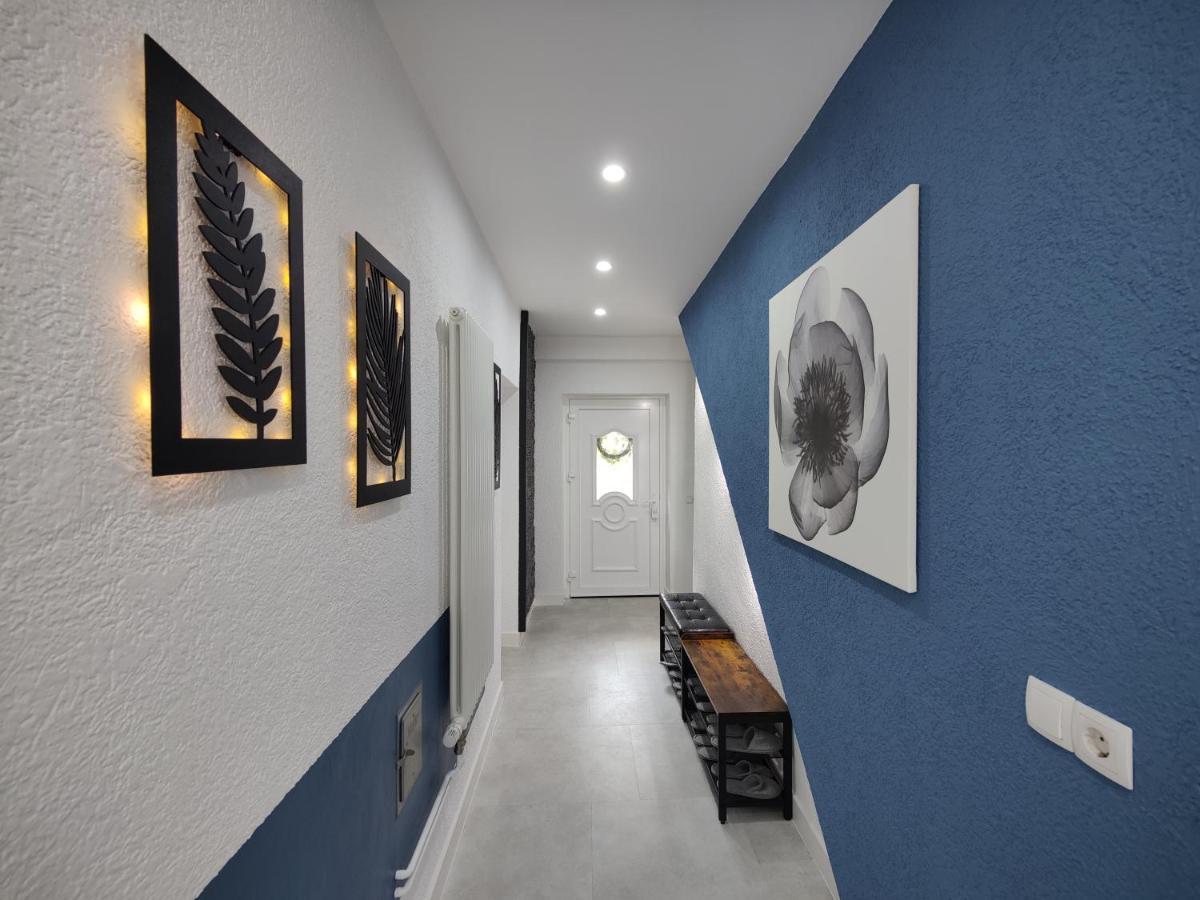 Ferienhaus Villa Adelsberg Mit Dachterrasse In Zentraler Lage Fuer Bis Zu 10 Personen 开姆尼茨 外观 照片